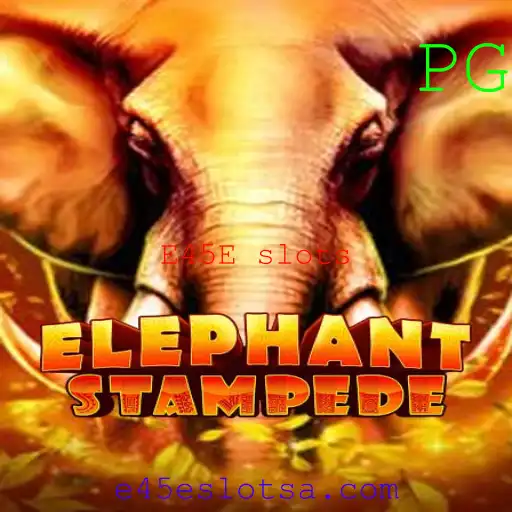 E45E slots Casino App